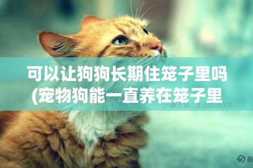 可以讓狗狗長期住籠子里嗎(寵物狗能一直養在籠子里嗎?)