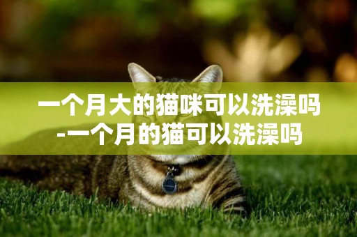 一個月大的貓咪可以洗澡嗎-一個月的貓可以洗澡嗎