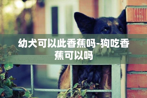 幼犬可以此香蕉嗎-狗吃香蕉可以嗎