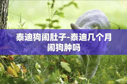 泰迪狗鬧肚子-泰迪幾個月鬧狗腫嗎