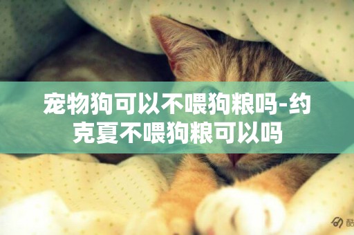 寵物狗可以不喂狗糧嗎-約克夏不喂狗糧可以嗎