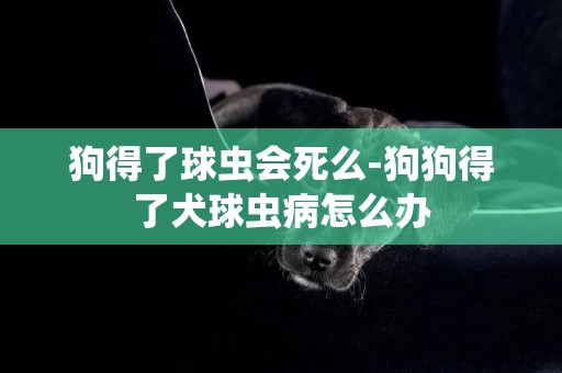 狗得了球蟲會死么-狗狗得了犬球蟲病怎么辦