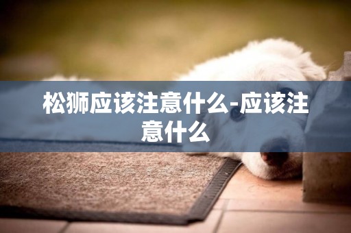 松獅應該注意什么-應該注意什么