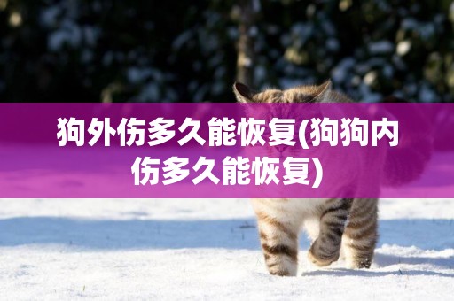 狗外傷多久能恢復(狗狗內傷多久能恢復)
