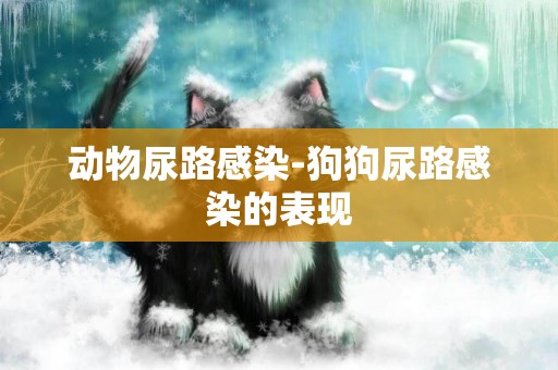動物尿路感染-狗狗尿路感染的表現