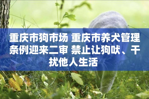 重慶市狗市場 重慶市養犬管理條例迎來二審 禁止讓狗吠、干擾他人生活 