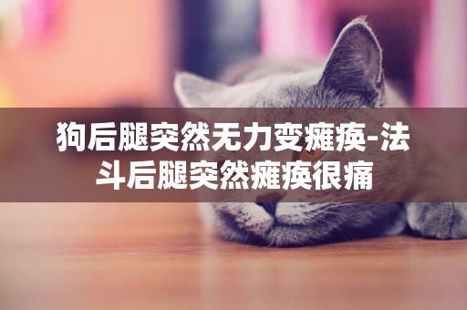 狗后腿突然無力變癱瘓-法斗后腿突然癱瘓很痛