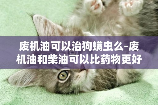廢機油可以治狗螨蟲么-廢機油和柴油可以比藥物更好的治療狗狗皮膚病