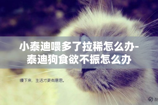 小泰迪喂多了拉稀怎么辦-泰迪狗食欲不振怎么辦