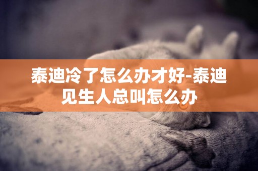 泰迪冷了怎么辦才好-泰迪見生人總叫怎么辦