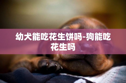 幼犬能吃花生餅嗎-狗能吃花生嗎