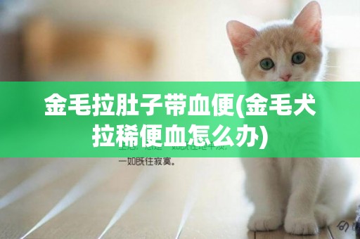金毛拉肚子帶血便(金毛犬拉稀便血怎么辦)
