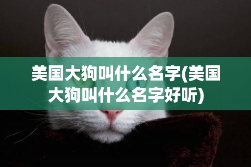 美國大狗叫什么名字(美國大狗叫什么名字好聽)