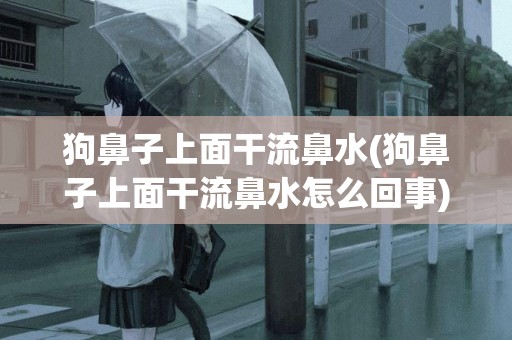 狗鼻子上面干流鼻水(狗鼻子上面干流鼻水怎么回事)