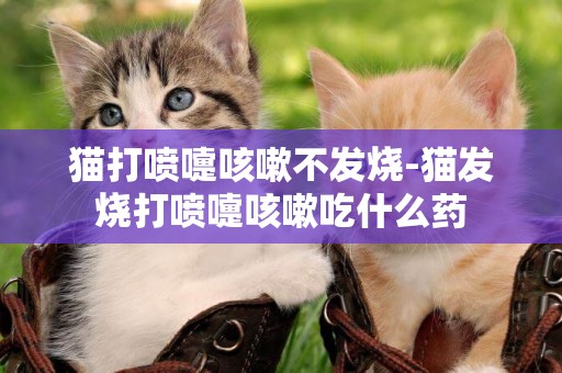 貓打噴嚏咳嗽不發燒-貓發燒打噴嚏咳嗽吃什么藥