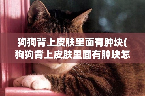 狗狗背上皮膚里面有腫塊(狗狗背上皮膚里面有腫塊怎么辦)