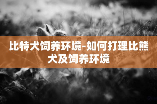 比特犬飼養環境-如何打理比熊犬及飼養環境