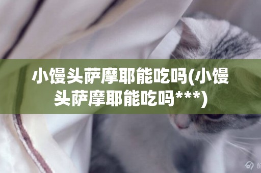 小饅頭薩摩耶能吃嗎(小饅頭薩摩耶能吃嗎***)