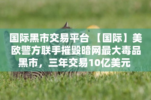 國際黑市交易平臺 【國際】美歐警方聯手摧毀暗網最大毒品黑市，三年交易10億美元 