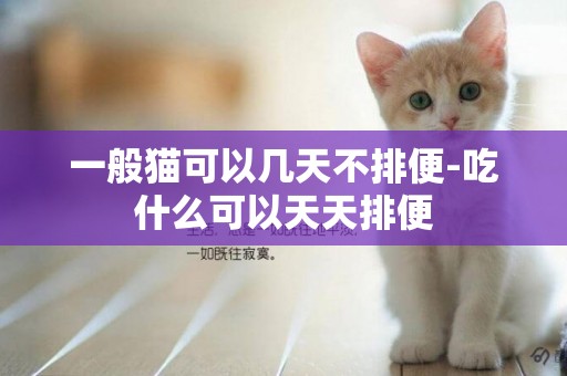 一般貓可以幾天不排便-吃什么可以天天排便
