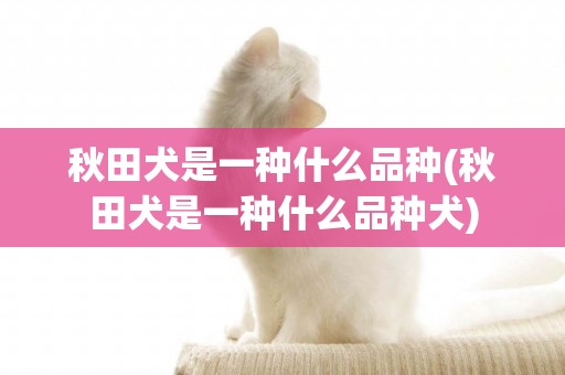 秋田犬是一種什么品種(秋田犬是一種什么品種犬)