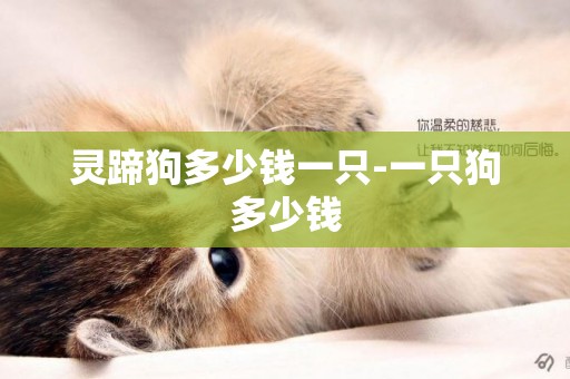 靈蹄狗多少錢一只-一只狗多少錢