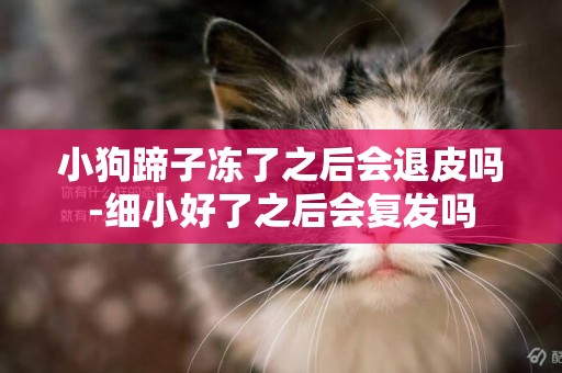 小狗蹄子凍了之后會退皮嗎-細小好了之后會復發嗎