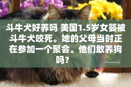 斗牛犬好養嗎 美國1.5歲女嬰被斗牛犬咬死。她的父母當時正在參加一個聚會。他們敢養狗嗎？ 