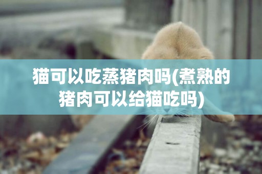貓可以吃蒸豬肉嗎(煮熟的豬肉可以給貓吃嗎)