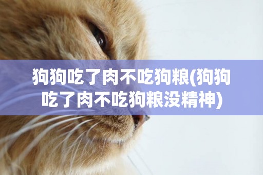 狗狗吃了肉不吃狗糧(狗狗吃了肉不吃狗糧沒精神)
