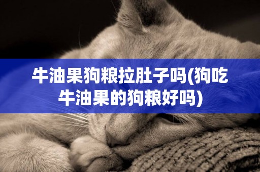 牛油果狗糧拉肚子嗎(狗吃牛油果的狗糧好嗎)