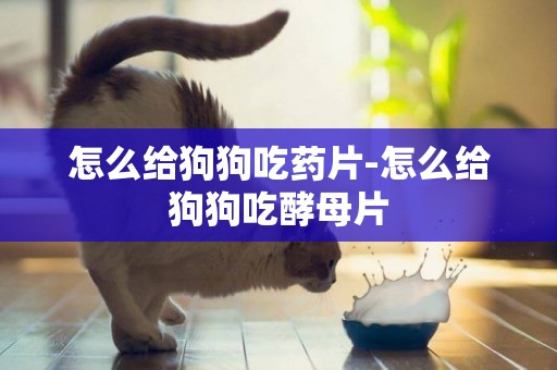 怎么給狗狗吃藥片-怎么給狗狗吃酵母片
