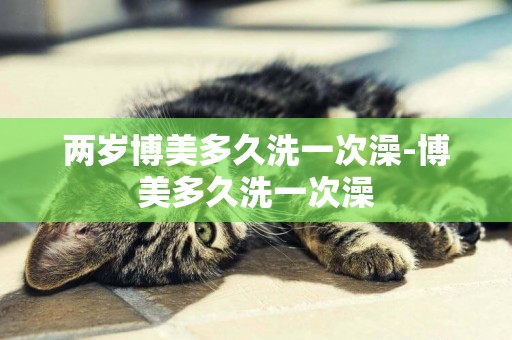 兩歲博美多久洗一次澡-博美多久洗一次澡
