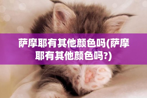 薩摩耶有其他顏色嗎(薩摩耶有其他顏色嗎?)
