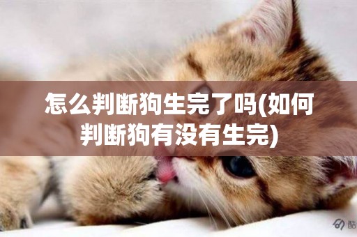 怎么判斷狗生完了嗎(如何判斷狗有沒有生完)
