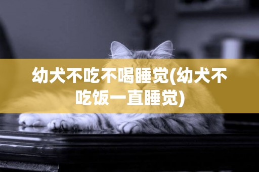 幼犬不吃不喝睡覺(幼犬不吃飯一直睡覺)