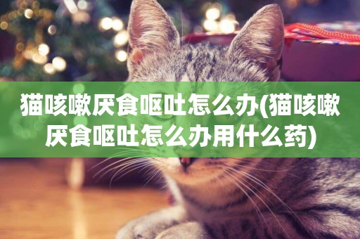 貓咳嗽厭食嘔吐怎么辦(貓咳嗽厭食嘔吐怎么辦用什么藥)