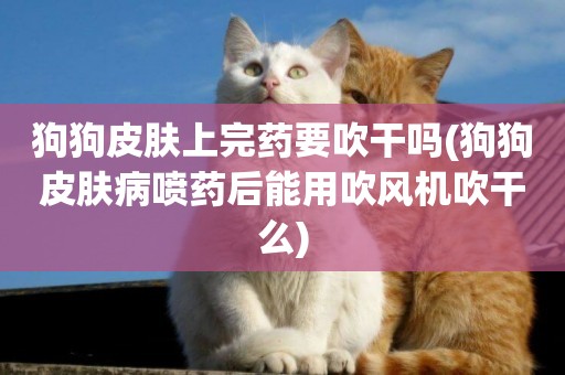 狗狗皮膚上完藥要吹干嗎(狗狗皮膚病噴藥后能用吹風機吹干么)
