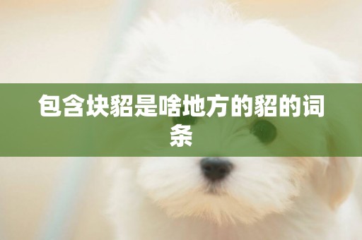 包含塊貂是啥地方的貂的詞條