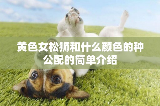 黃色女松獅和什么顏色的種公配的簡單介紹