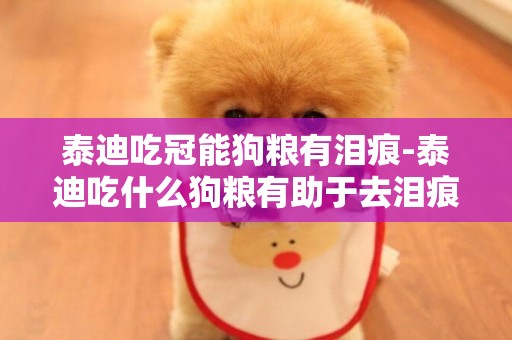泰迪吃冠能狗糧有淚痕-泰迪吃什么狗糧有助于去淚痕
