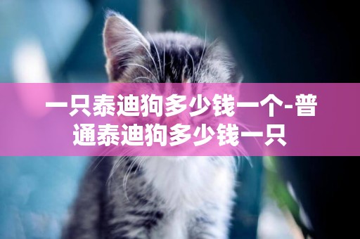 一只泰迪狗多少錢一個-普通泰迪狗多少錢一只