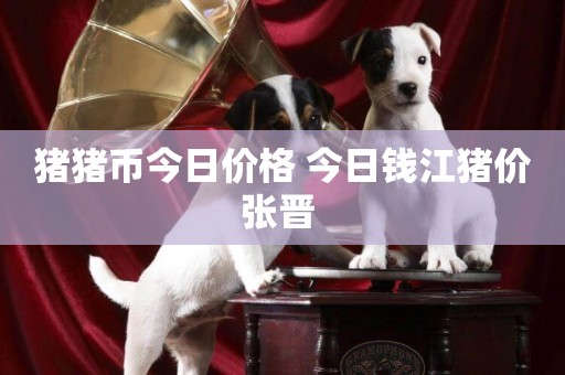 豬豬幣今日價格 今日錢江豬價張晉 