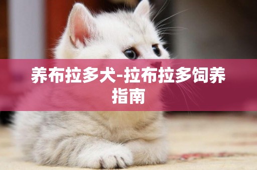 養布拉多犬-拉布拉多飼養指南