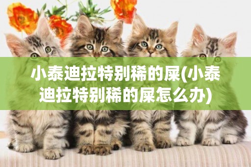 小泰迪拉特別稀的屎(小泰迪拉特別稀的屎怎么辦)