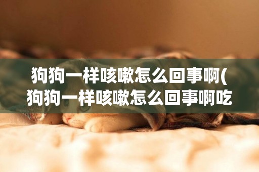 狗狗一樣咳嗽怎么回事啊(狗狗一樣咳嗽怎么回事啊吃什么藥)