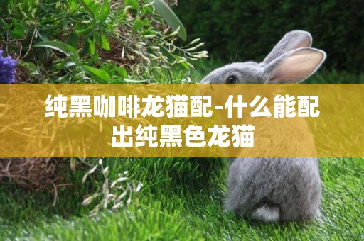 純黑咖啡龍貓配-什么能配出純黑色龍貓
