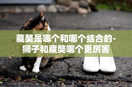 藏獒是哪個和哪個結合的-獅子和藏獒哪個更厲害