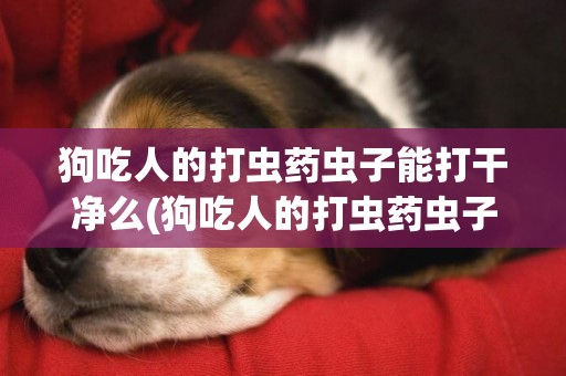 狗吃人的打蟲藥蟲子能打干凈么(狗吃人的打蟲藥蟲子能打干凈么嗎)