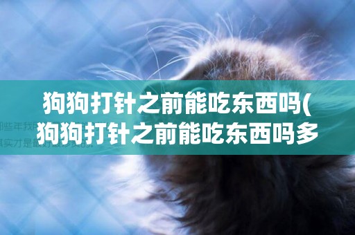 狗狗打針之前能吃東西嗎(狗狗打針之前能吃東西嗎多久)